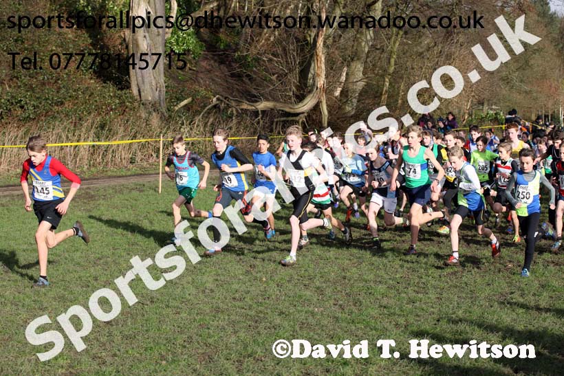 Boys under-13 Northern Cross Country Champs., Witton Park, Blackburn. Photo: David T. Hewitson/Sports for All Pics